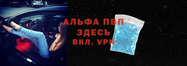 стаф Абинск