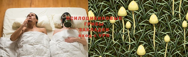 прущие крисы Беслан